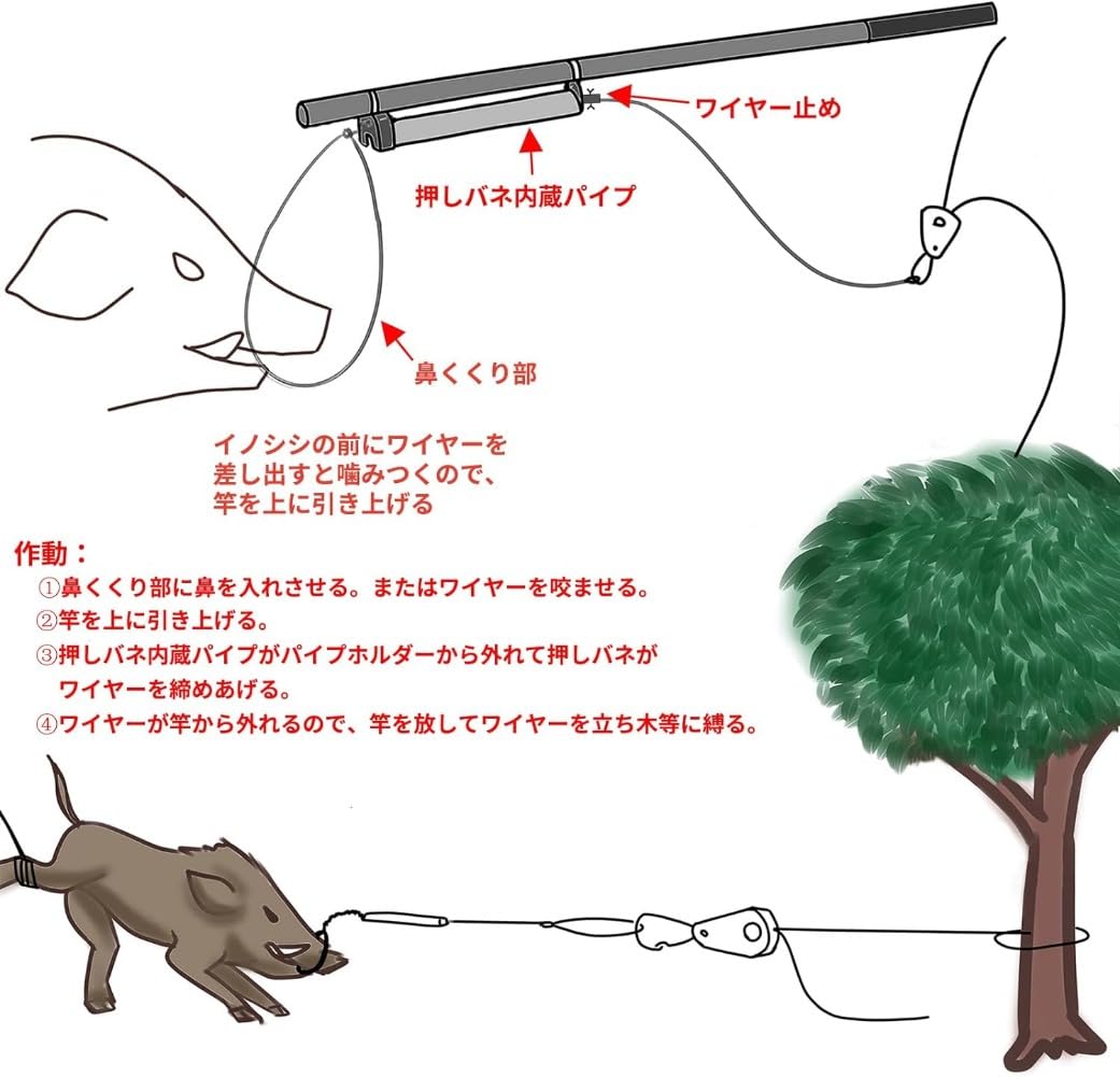 Amazon | 鼻くくり 押しバネ式鼻くくり 狩猟用 鼻取り 鼻括り イノシシ